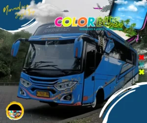 sewa bus medium surabaya