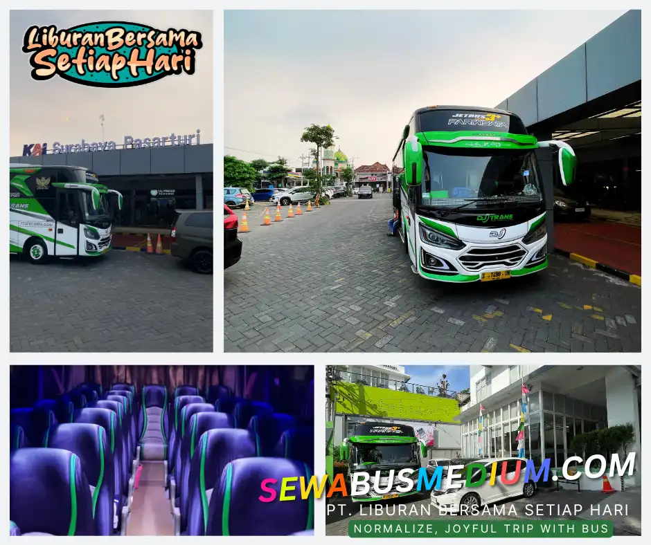 sewa bus medium