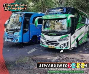 sewa bus medium surabaya