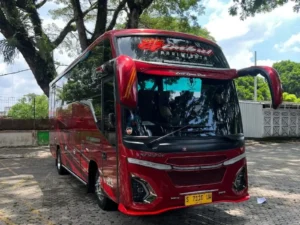 sewa bus medium murah